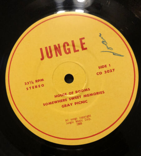 JUNGLE   SELF TITLED LP   MEGA RARE ORIG     69 PRIVATE PSYCH LP