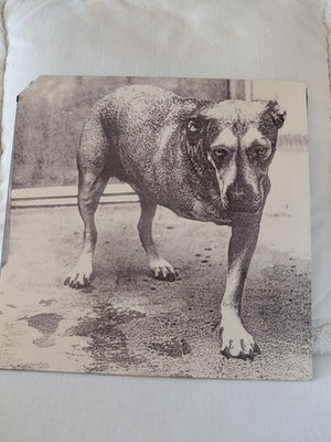 Alice in Chains Self-Titled LP Vinyl Columbia Grunge Rock 1990s