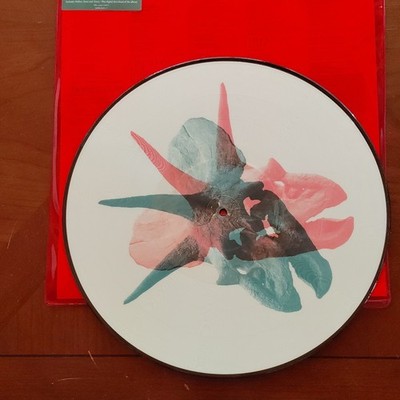 Alice In Chains Limited Edition Picture Disc Vinyl Double LP Devil Put Dinosaur   